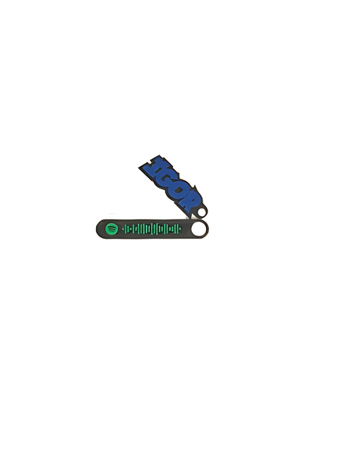 "IGOR" Keychain